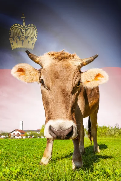 Prime à la vache avec le drapeau sur la série de fond - Liechtenstein — Photo