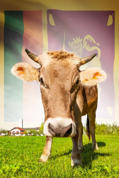 Cow with flag on background series - Sri Lanka — Stock Photo, Image