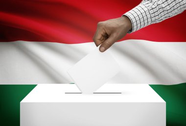 Oy sandığı ile ulusal bayrağını arka plan - Macaristan