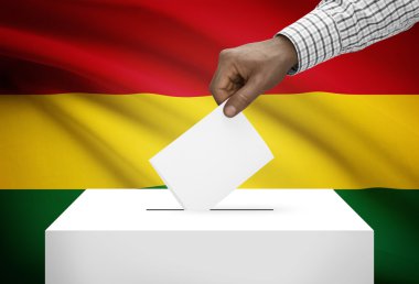 Arka plan - Bolivya Ulusal bayrağını ile oy sandığı