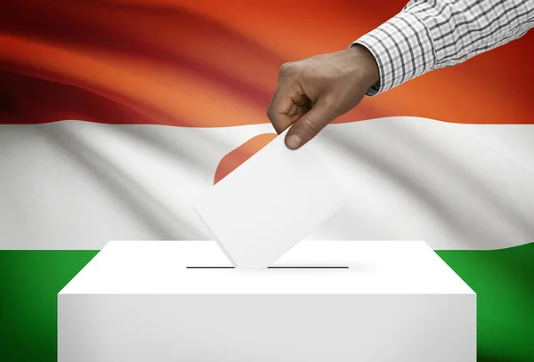背景 - ニジェールの国旗と投票箱 — ストック写真