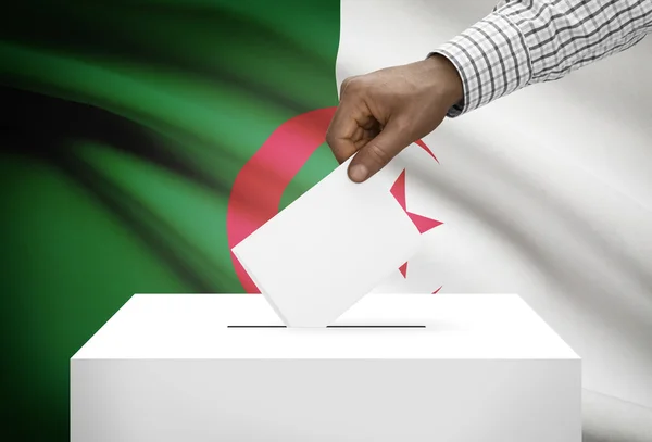 Ballot box with national flag on background - Algeria — Stock Photo, Image