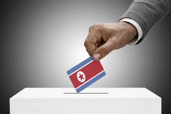 Svart hane håller flaggan. Rösta koncept - Nordkorea — Stockfoto