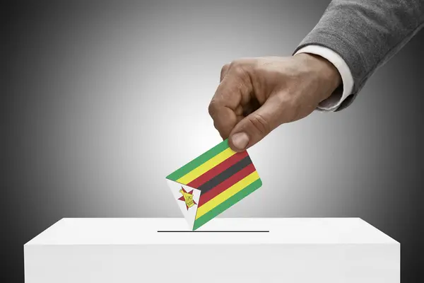 Black male holding flag. Voting concept - Zimbabwe — Stock Photo, Image
