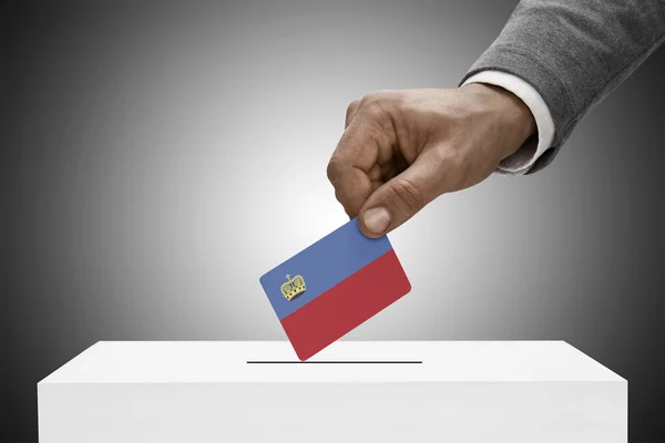 Black male holding flag. Voting concept - Liechtenstein — Stock Photo, Image