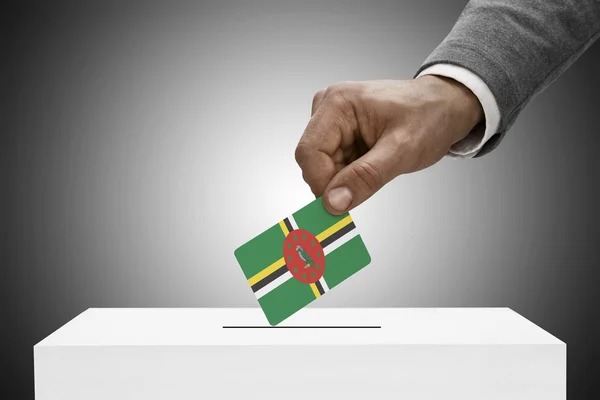 Black male holding flag. Voting concept - Dominica — Stock Photo, Image