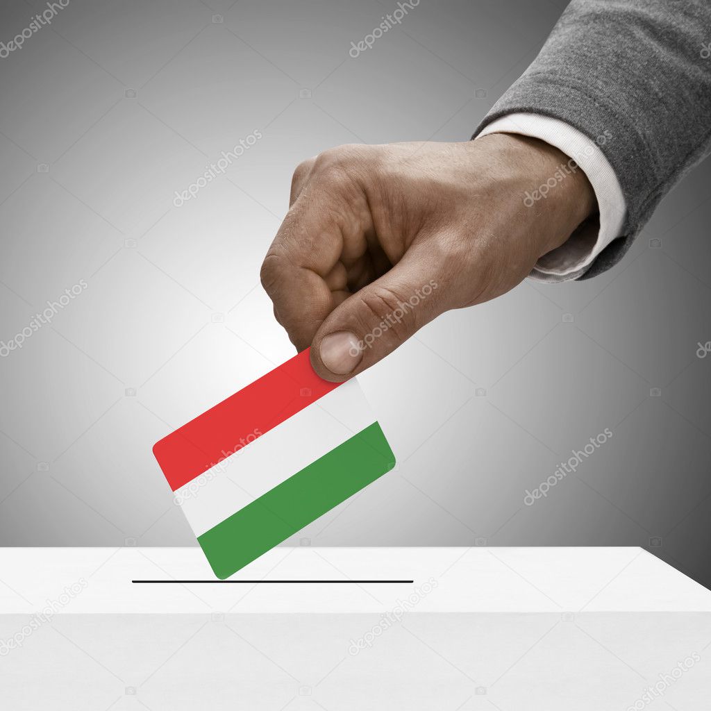 Black male holding flag. Voting concept - Hungary