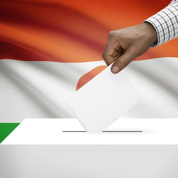 Ballot box with national flag on background series - Niger — Stock Photo, Image