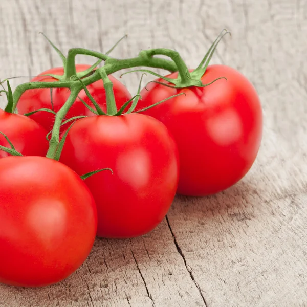 Neat red tomatoes on wooden table - studio shot — Stock Photo, Image