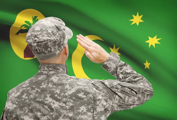 Soldat au chapeau face à la série des drapeaux nationaux - Cocos (Keeling) Islands — Photo
