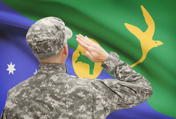 Soldat i hat inför nationella flagga rad - Julön — Stockfoto