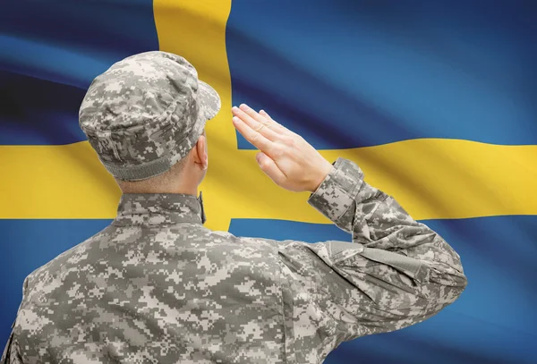 Солдат в шляпе, стоящие перед национальным флагом серии - Швеция — стоковое фото