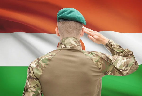 Nationale militaire troepen met vlag op achtergrond conceptuele serie - Niger — Stockfoto