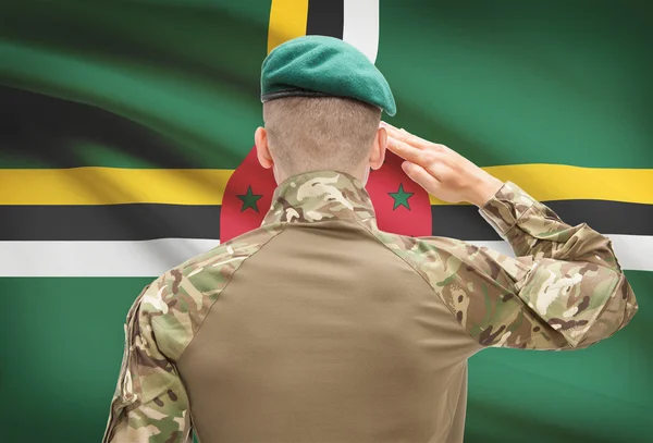 Národní vojenské síly s vlajkou na pozadí koncepční řady - Dominika — Stock fotografie