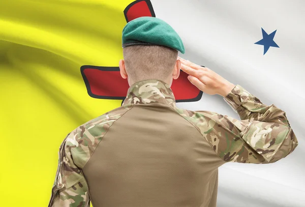 Soldier saluting to Canadial province flag conceptual series - Nunavut — Stock Photo, Image