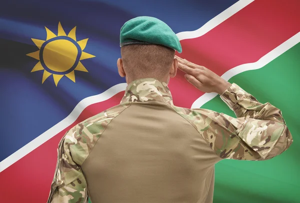 Dark-skinned soldier with flag on background - Namibia — Stock Photo, Image