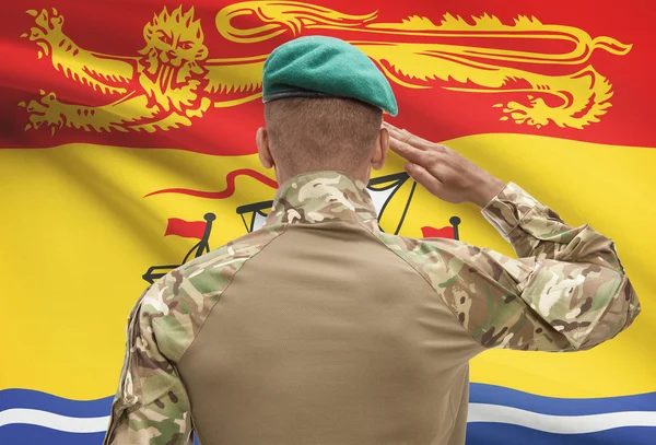 Dunkelhäutige Soldat mit kanadischen Provinz Flagge auf Hintergrund - New Brunswick — Stockfoto