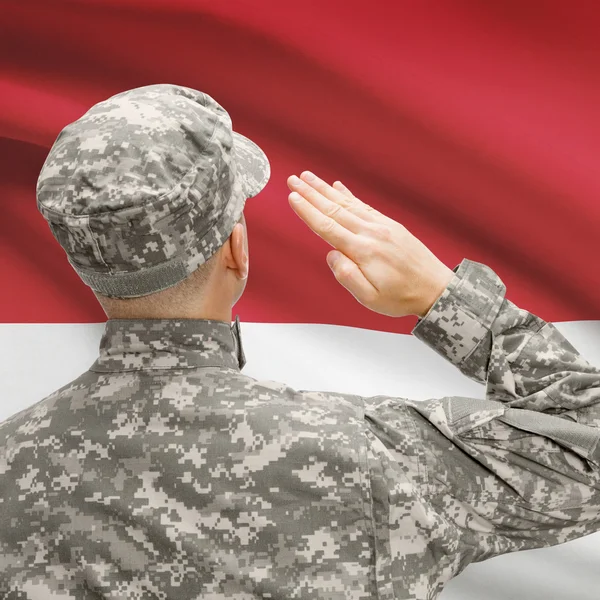 Żołnierz w kapeluszu w obliczu flagi narodowej serii - Monako — Zdjęcie stockowe
