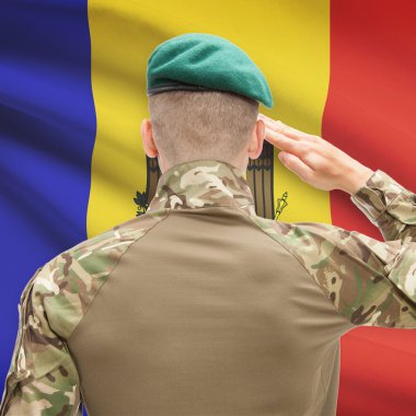 National military forces with flag on background conceptual seri