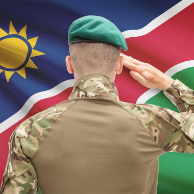 National military forces with flag on background conceptual seri