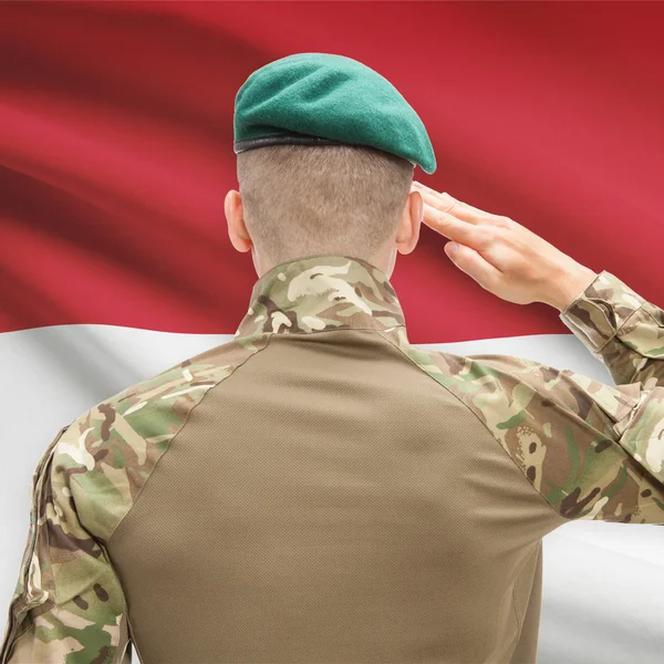 National military forces with flag on background conceptual seri — Stockfoto