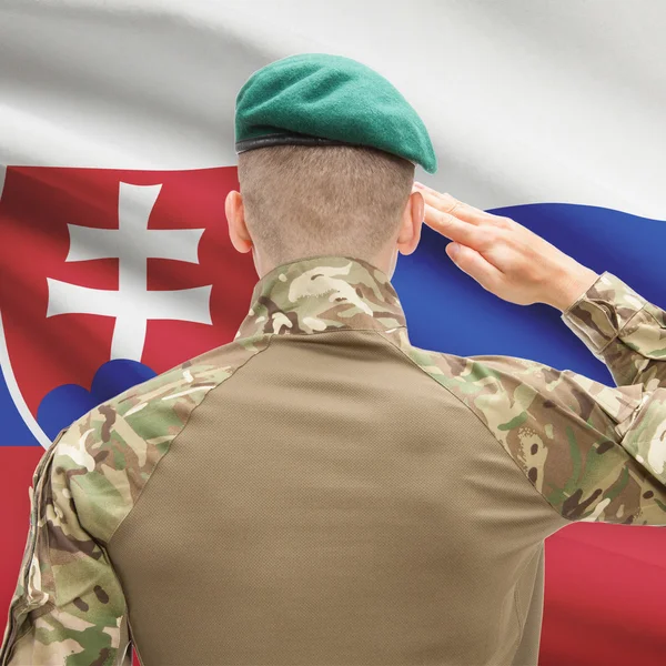 Nationale Streitkräfte mit Flagge auf Hintergrund konzeptionellen seri — Stockfoto