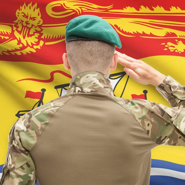 Soldier saluting to Canadial province flag conceptual series - N — Stockfoto