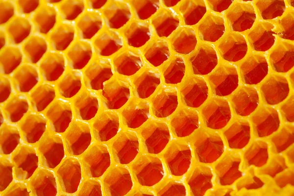 Cerrar tiro de nido de abeja fresco —  Fotos de Stock