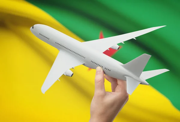 Samolot w rękę z flagi na tle - Gujana Francuska — Zdjęcie stockowe