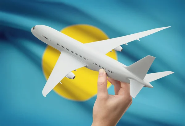 Airplane in hand with flag on background - Palau — Stok Foto