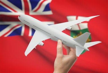 Airplane in hand with Canadian province flag on background - Ontario