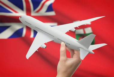Airplane in hand with Canadian province flag on background - Manitoba