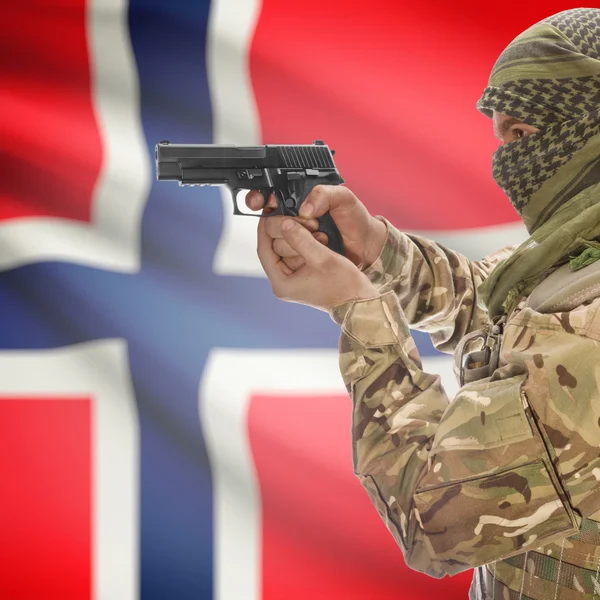 Männchen mit Gewehr in Händen und Nationalflagge auf Hintergrund - Norwegen — Stockfoto