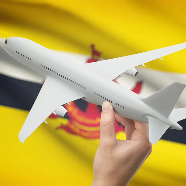 Flugzeug in der Hand mit Flagge auf Hintergrund-Serie - Brunei — Stockfoto