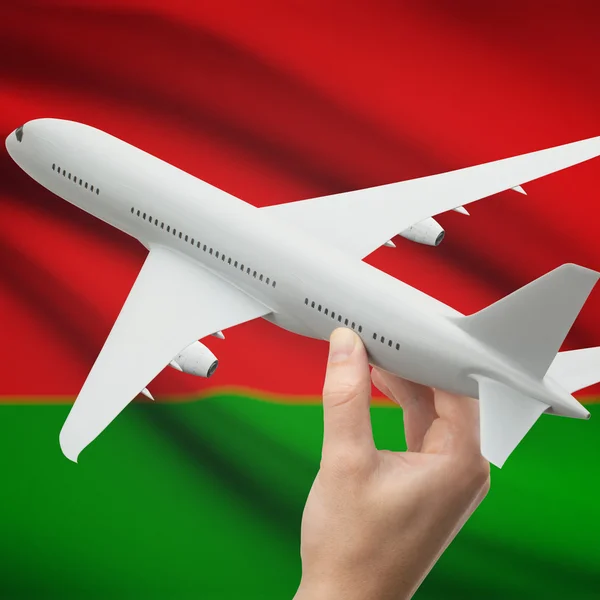 Airplane in hand with flag on background series - Belarus — Stock Photo, Image