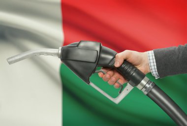 Pompa meme el ile arka plan - Madagaskar Ulusal bayrağını yakıt.