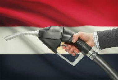 Pompa meme el ile arka plan - Mısır Ulusal bayrağını yakıt.