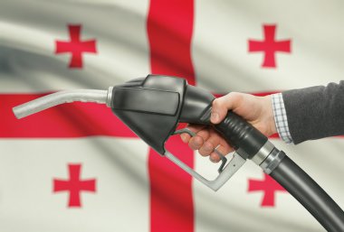 Pompa meme el ile arka plan - Ulusal bayrağını Georgia yakıt