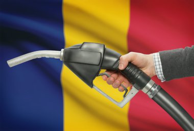 Pompa meme el ile arka plan - Romanya Ulusal bayrağını yakıt.