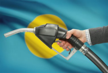 Pompa meme el ile arka plan - Palau Ulusal bayrağını yakıt.