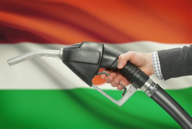 Pompa meme el ile arka plan - Nijer Ulusal bayrağını yakıt.