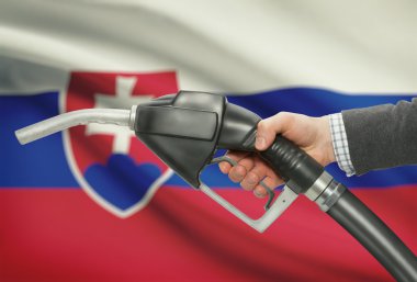 Pompa meme el ile arka plan - Slovakya ulusal bayrağını yakıt.