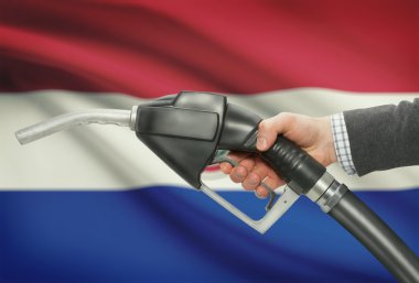 Yakıt pompa meme el ile ulusal bayrağını arka plan - Paraguay