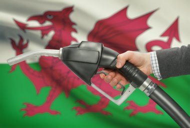 Pompa meme el ile arka plan - Galler Ulusal bayrağını yakıt.