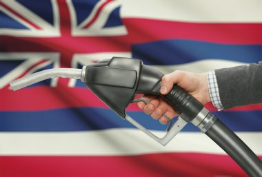 Pompa meme el arka plan - Hawaii ABD Birleşik bayrakları ile yakıt.