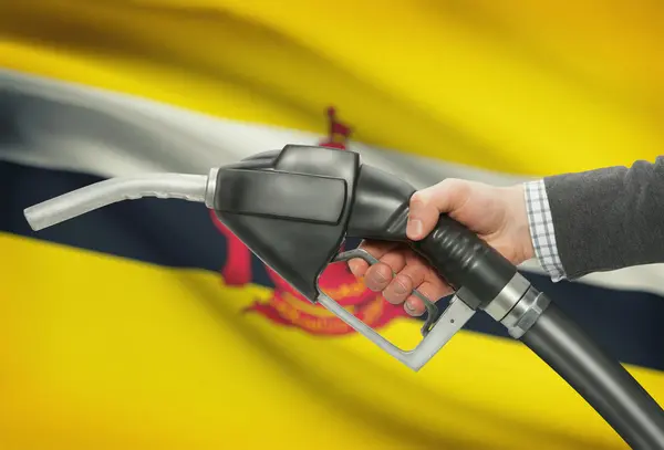Gicleur de pompe de carburant dans la main avec un drapeau national sur fond - Brunei — Photo