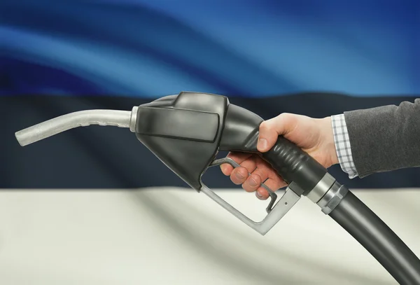 Gicleur de pompe de carburant dans la main avec un drapeau national sur fond - Estonie — Photo