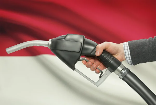 Ugello della pompa di carburante in mano con la bandiera nazionale su priorità bassa - Monaco — Foto Stock