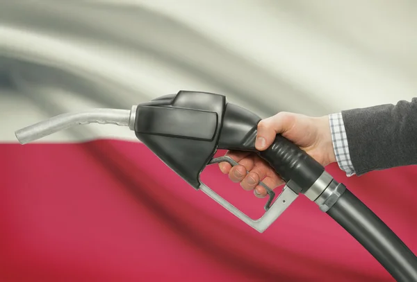 Gicleur de pompe de carburant dans la main avec un drapeau national sur fond - Pologne — Photo