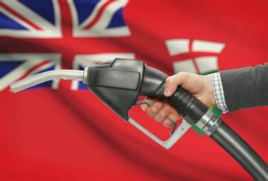 Fuel pump nozzle in hand with Canadian provinces flags on background - Ontario